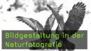 Naturfotografie Gerhard Zimmert Bildgestaltung