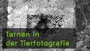 Tarnen, Ansitzfotografie, Tarnzelt, Tarnanzug, Tierfotografie Tarnen, Ansitzfotografie, Tarnzelt, Tarnanzug, Tierfotografie