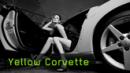 Martin Krolop Workshop Tutorial Yellow Corvette Martin Krolop Workshop Tutorial Yellow Corvette