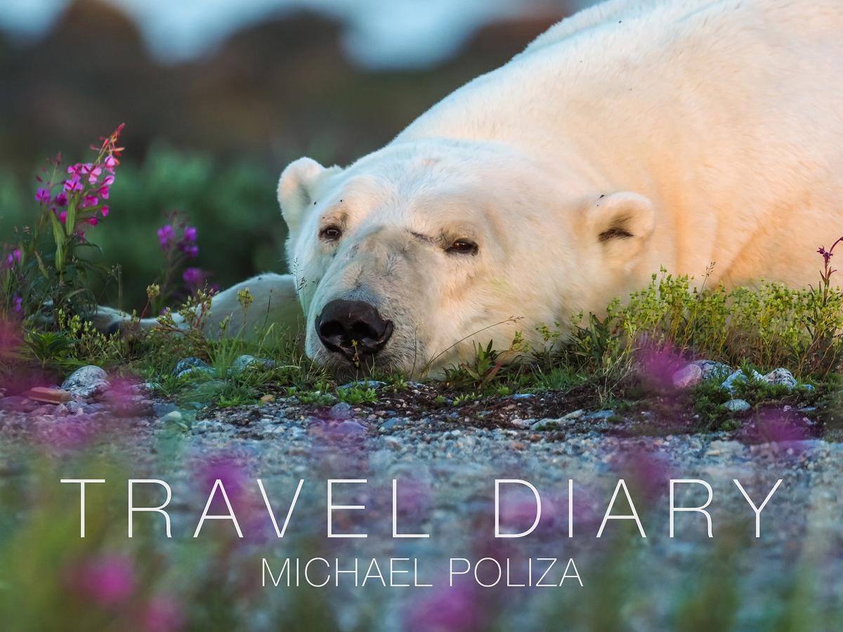 Travel Diary Ausstellungstour mit Michael Poliza