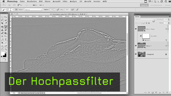 teaser_07_11_big.jpg