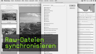 raw, synchronisieren