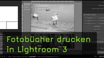 Fotobücher drucken in Lightroom 3 - Kate Breuer nutzt LR3 für die Fotobuch-Erstellung Lightroom, Drucken, Modul, Fotobücher, Fotobuch, Kate Breuer