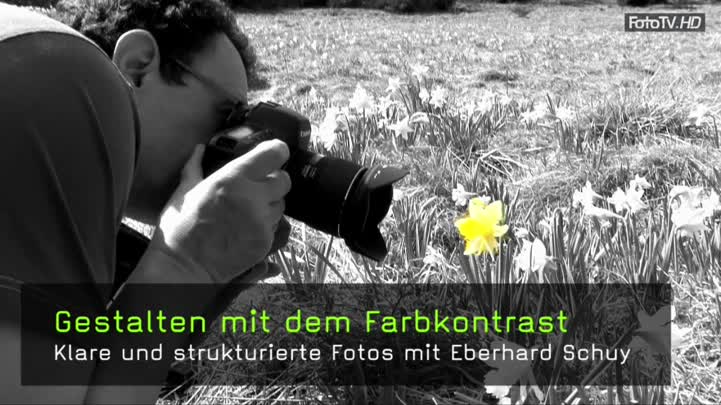 Gestalten mit dem Farbkontrast in der Fotografie