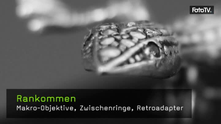 207-rankommen-teaser-k.jpg
