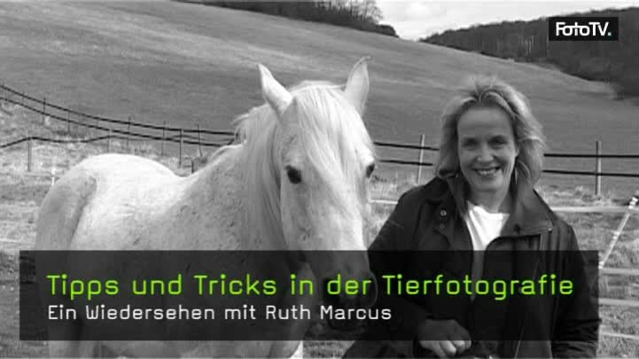 ruth-marcus-tierfotografie-naturfotografie