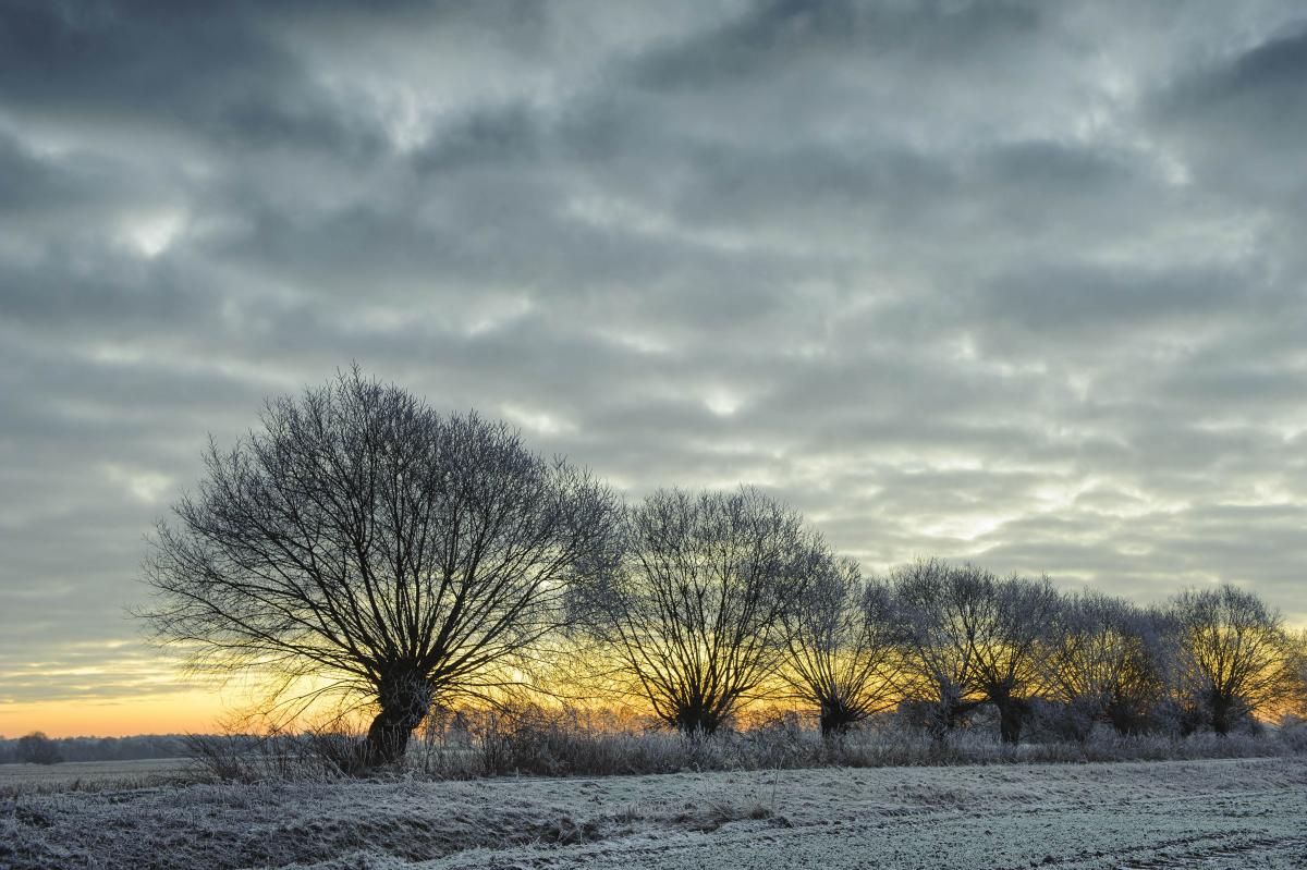 Inspiration Natur - Foto Willi Rolfes