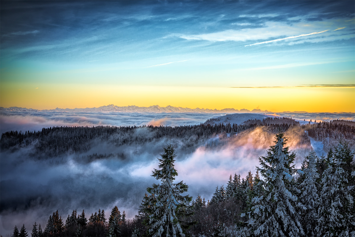 Morgennebel in der Winterlandschaft