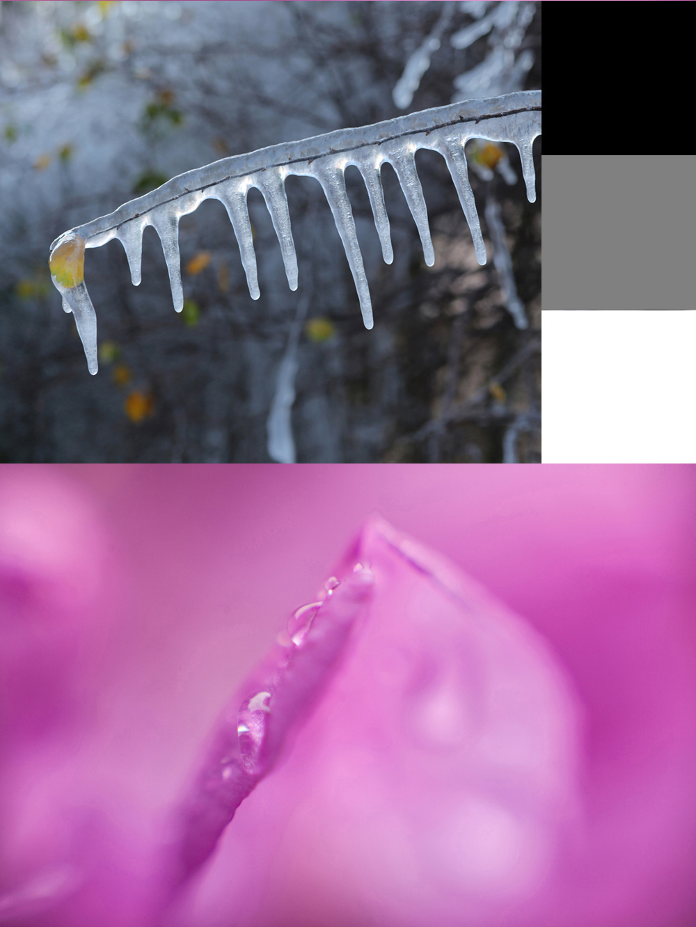 Die zu verrechnenden Bilder