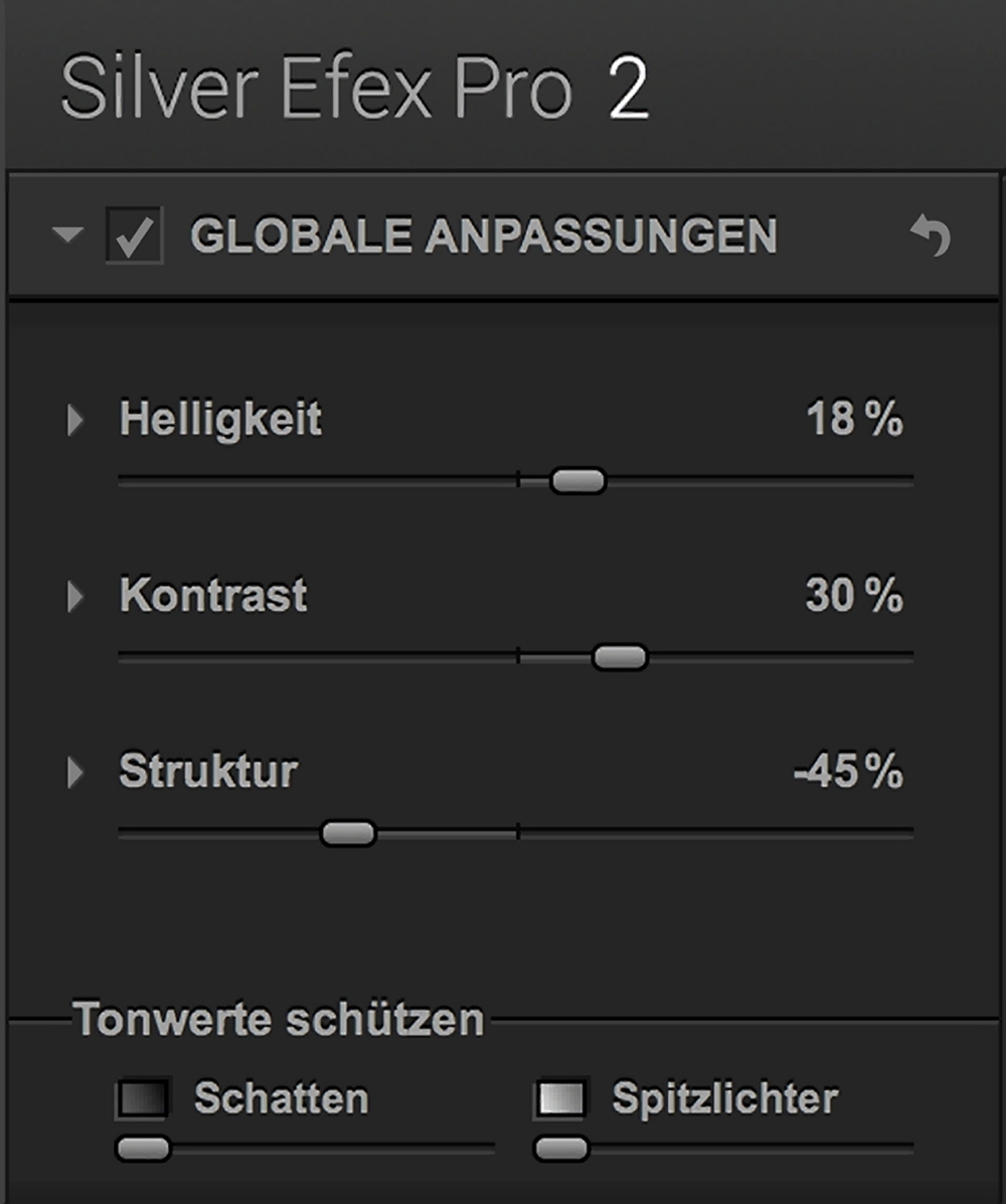 Anpassungen in Silver Efex Pro 2