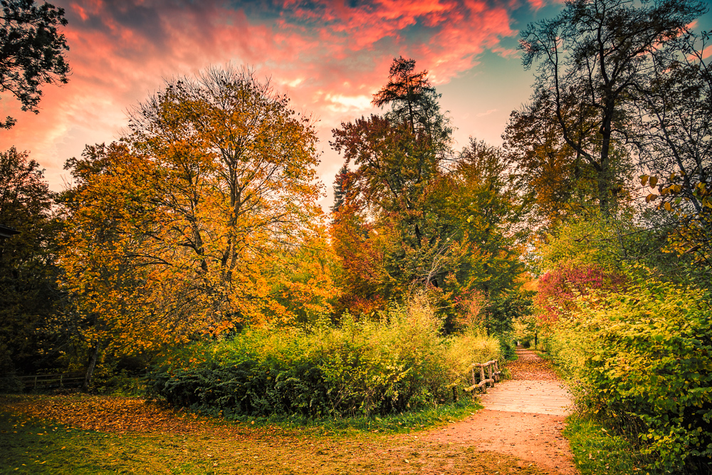 Farbexplosionen Herbst