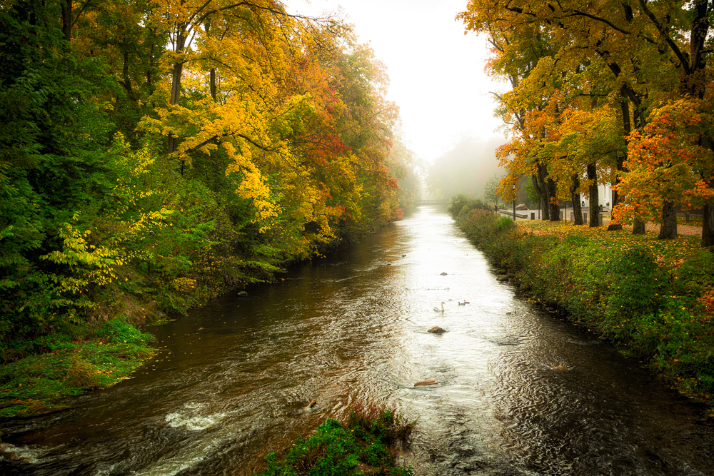 Herbst fotografieren