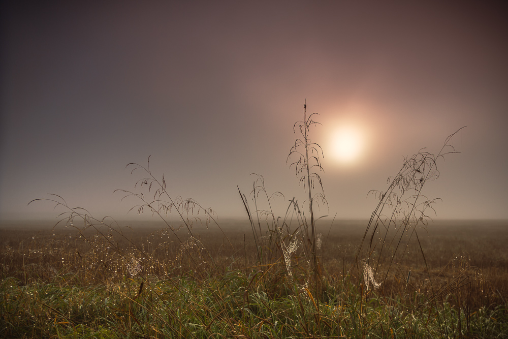 Herbststimmungen fotografieren