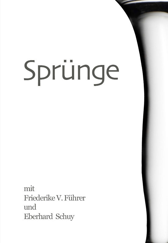 Sprünge - Eberhard Schuy