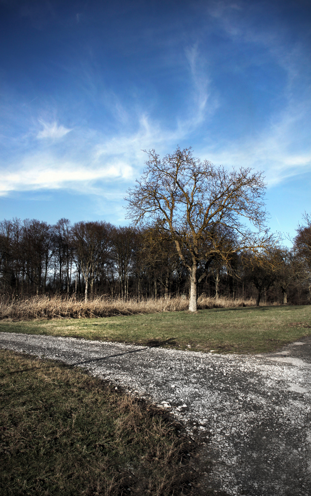 Künstliche Spiegelungen in der Landschaft