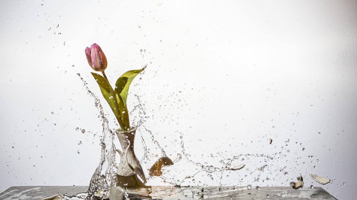 Highspeed-Fotografie: 10 spannende Bildideen