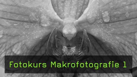 Nahlinsen, Fotokurs Makrofotografie