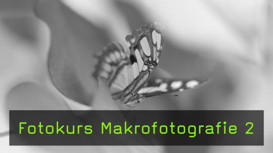 Zwischenringe Makrofotografie