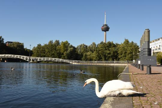 Tierfotografie in der Nähe
