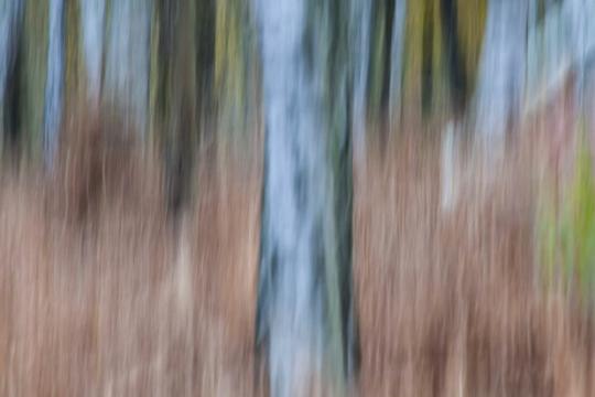 Kreative Naturfotografie: der Wischer-Effekt