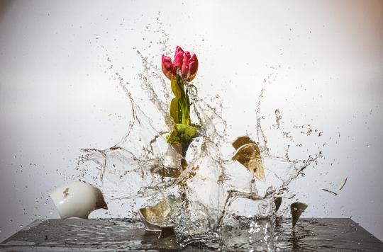 Highspeed-Fotografie mit Glas: das Vasenshooting