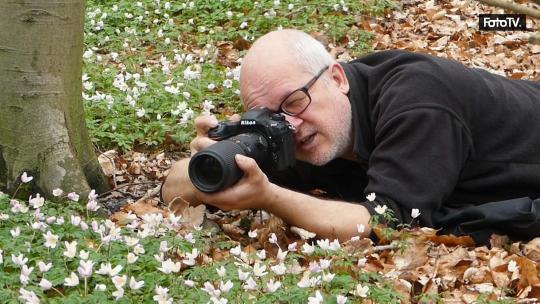 Wie die Makrofotografie Blumen zu Stars macht