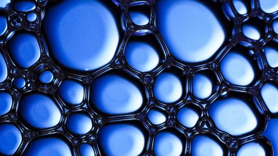 Noch mehr Makrofotografie-Motive Noch mehr Makrofotografie-Motive