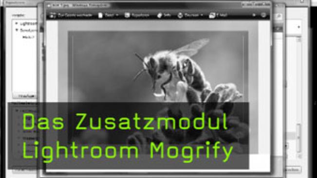 Lightroom, Plugin, Zusatzmodul, Rahmen, Wasserzeichen