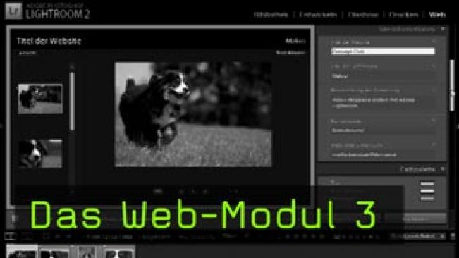 Webgalerie, Flashgalerie, Bildergallerien, Lightroom