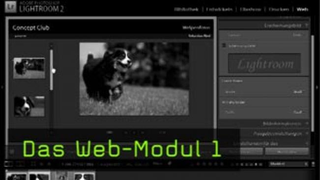 Web-Modul, Lightroom, Flashgalerie, Webgalerie