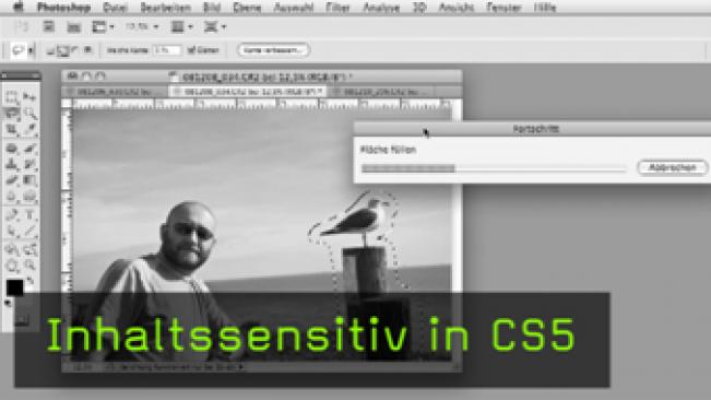 Inhaltssensitiv, Photoshop, Retusche