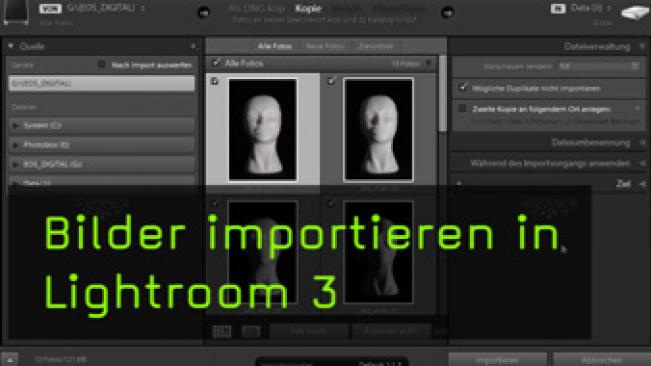 Lightroom 3, Importdialog, RAW, DNG
