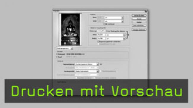 138_Druck mit Vorschau_338x190.jpg