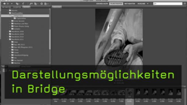 Einführung in Bridge, Bridge für Anfänger