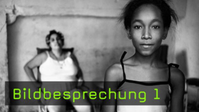 Bildbesprechung, Bildkritik