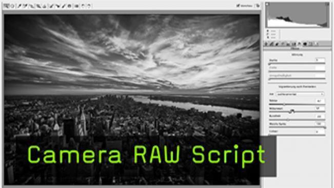 Calvin Hollywood Photoshop RAW Camera Raw Script