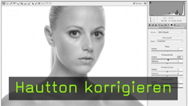 Calvin Hollywood Photoshop Hautton