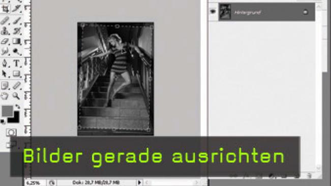 Calvin Hollywood Photoshop Bilder ausrichten