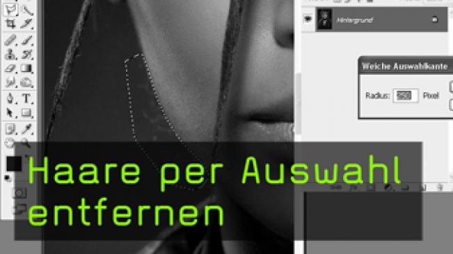 Calvin Hollywood Photoshop Haare entfernen