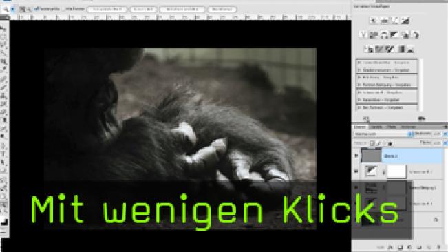 Calvin Hollywood Photoshop Bildoptimierung