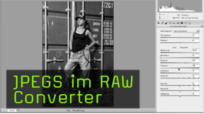 Calvin Hollywood Photoshop Raw Converter jpeg