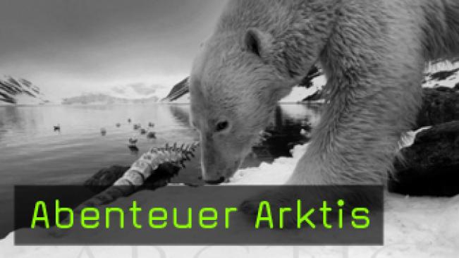 naturfotografie wildtierfotografie