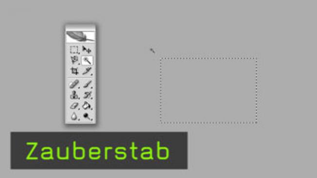 162_Zauberstab.jpg