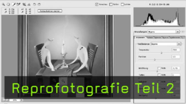 Bildbearbeitung, Bildpräsentation, Digitale Bildbearbeitung, Digitale Fotografie, RAW, Reprofotografie