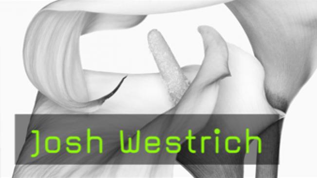 Bildgestaltung, Fotobücher, Naturfotografie, Portrait, Stillife, Zeitgenössische Fotokunst