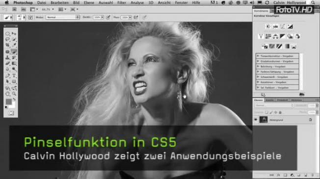 Calvin Hollywood CS5 Pinsel