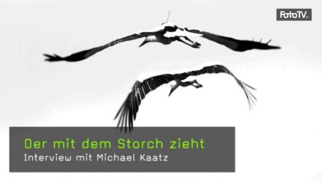 storch-naturfotografie
