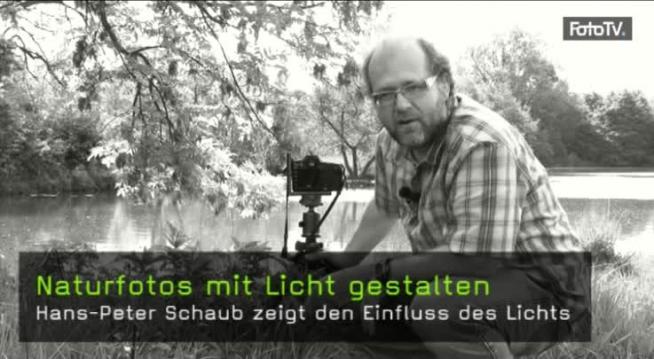 Naturfotos, Lichtgestaltung, Einfluss von Licht