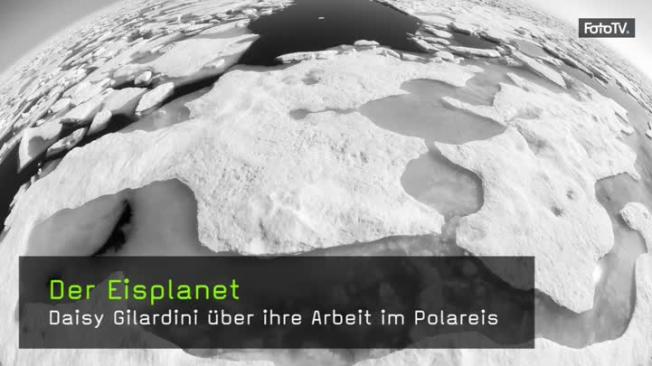 Naturfotografie in der Polarregion - Reportagefotografie Arktis und Antarktis
