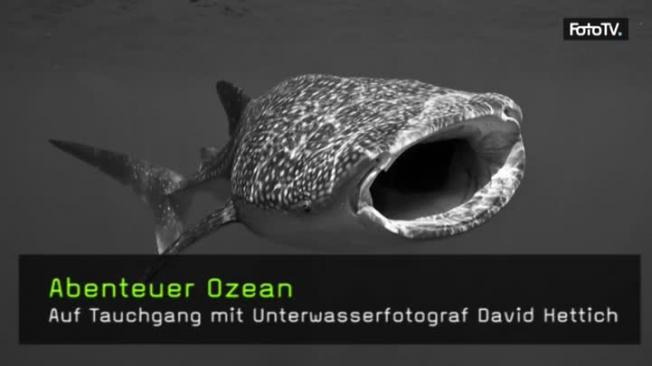 Abenteuer Ozean David Hettich